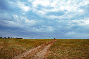 Obraz premium grass field and cloudy sky