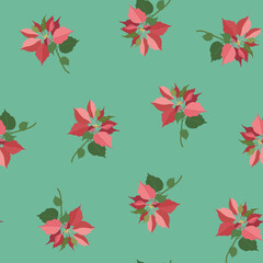 Seamless vector illustration with poinsettia flowers