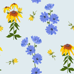 Seamless vector illustration with rudbeckia and chicory flowers