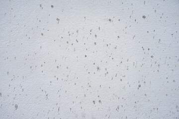 Dirty white painted wall as a background.