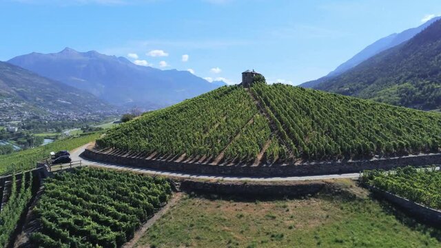 Aerial view of vineyards, Aymavilles, Aosta Valley, Italy