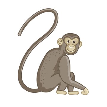 Spider Monkey. Isolated Wild Ape With Long Tail. Cute Primate Mammal Cartoon Character Icon. Vector Wildlife Exotic Spider Monkey Animal