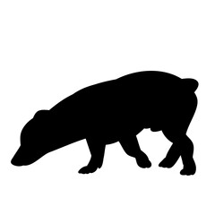vector, isolated, black silhouette of a small dog