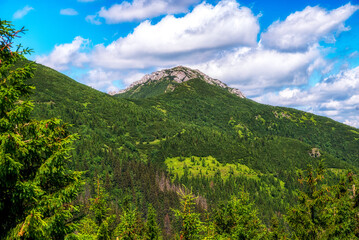 Fototapeta premium Hill Sivy Vrch in Western Tatras, Slovakia