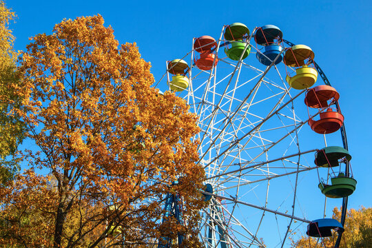 Big observation wheel in autumn park located in Moscow