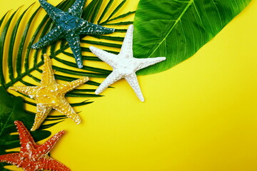 Fototapeta na wymiar Summer Background concept with green leave and starfish decoration on yellow background