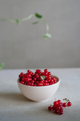 Bright fresh red currant in white bowl on table on grey background with green leaves frame 