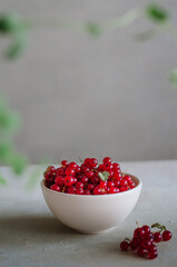 Bright fresh red currant in white bowl on table on grey background with green leaves frame 
