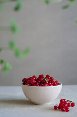 Bright fresh red currant in white bowl on table on grey background with green leaves frame 