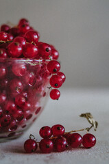 Bright macro of fresh ripe red currant in glass bowl