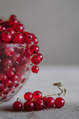 Bright macro of fresh ripe red currant in glass bowl