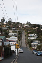 Obraz premium Winter View of World’s steepest Street Baldwin street in Dunedin New Zealand.