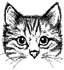 graphic black and white kitten, knitted pattern sweater