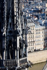 Naklejka premium La flèche de Notre Dame de Paris