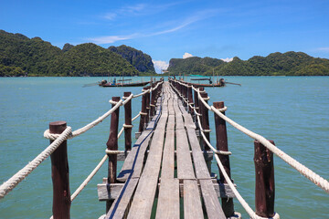 wooden bridge over the lake