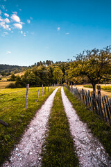 Fototapeta premium The road to the hills