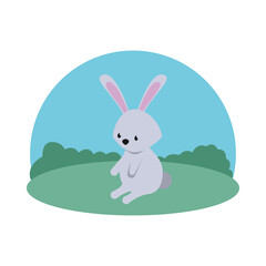 cute rabbit easter season character in camp