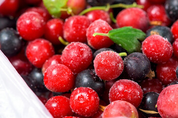 frozen cherries are covered with ice crystals and frost for winter home preparation in the freezer.
