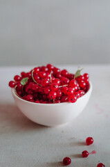 Bright fresh red currant in ivory bowl on white background 