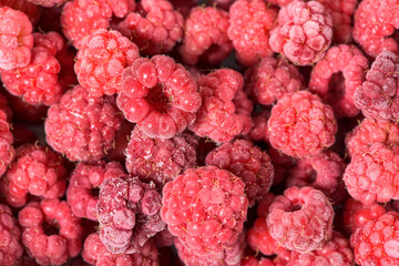 background of frozen raspberries, fresh berries covered with frost