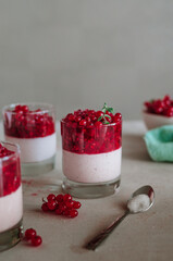 Tasty italian pana cotta with ripe red currant. Fresh healthy dessert in glass with berries and mint. fragrant pannacotta on the table