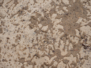 sand stone texture background beach