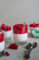 Tasty italian pana cotta with ripe red currant. Fresh healthy dessert in glass with berries and mint. fragrant pannacotta on the table
