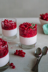 Tasty italian pana cotta with ripe red currant. Fresh healthy dessert in glass with berries and mint. fragrant pannacotta on the table