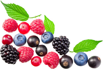 mix of blueberry, blackberry, cranberry, raspberry with leaves isolated on white background. top view