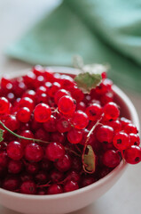 Bright fresh red currant in ivory bowl in morning light 
