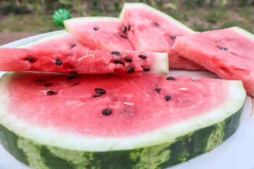 Pieces of sweet pink watermelon on the background of a garden plot, close-up