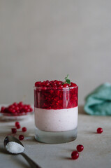 Delicious italian pana cotta with ripe red currant. Fresh healthy dessert in glass with bright berries and mint leaves. Fragrant pannacotta on the table