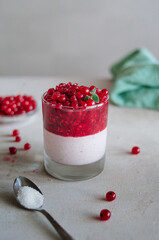Delicious italian pana cotta with ripe red currant. Fresh healthy dessert in glass with bright berries and mint leaves. Fragrant pannacotta on the table