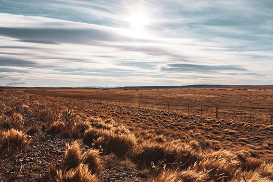 Golden dry grass field and sun shinning behind faint clouds during early evening. Dry desert like landscape in Patagonia, Chile