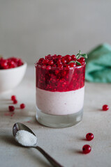 Delicious italian pana cotta with ripe red currant. Fresh healthy dessert in glass with bright berries and mint leaves. Fragrant pannacotta on the table