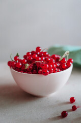 Bright fresh red currant in ivory bowl on white background 