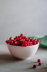 Bright fresh red currant in ivory bowl on white background 