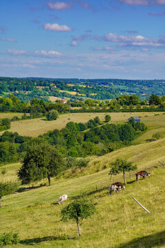 Paysage campagne 721