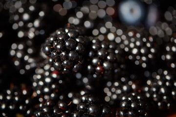 blackberry on plate. mixed fruits