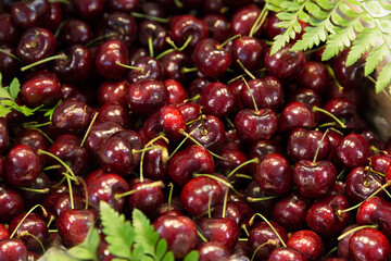 Close up of fresh cherry berries