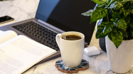 Laptop with coffee on the table. Working atmosphere. Green flower, open book, headphones, sunlight. Morning at work. The beginning of the day.
