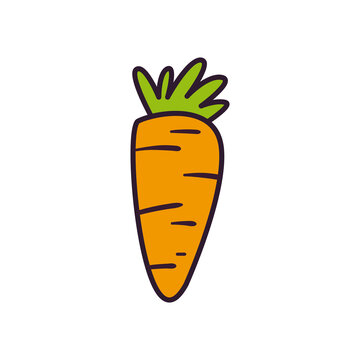 carrot line and fill style icon vector design