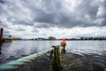 fishing boat in the harbor