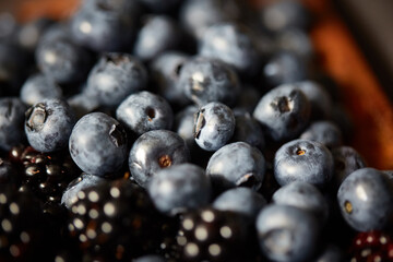 blackberry on plate. mixed fruits