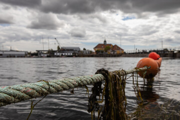 fishing nets in the harbor
