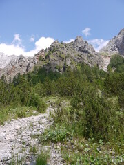 Obraz premium Im Wimbachtal