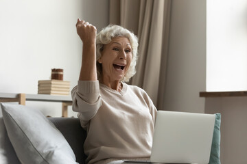Grey haired grandma advance user of pc and internet fun and services feel very happy received...