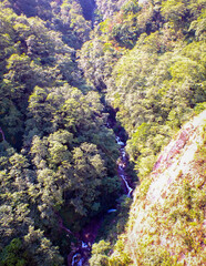mountain river in autumn