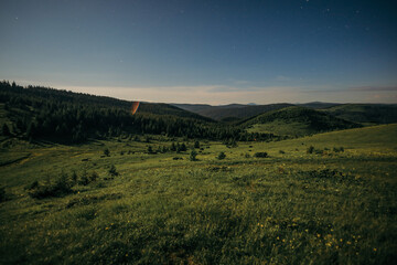 A sign on top of a lush green field