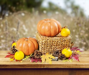 Pumpkin.